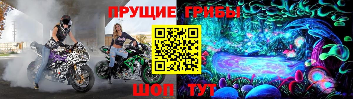 Галлюциногенные грибы Psilocybe Дедовск